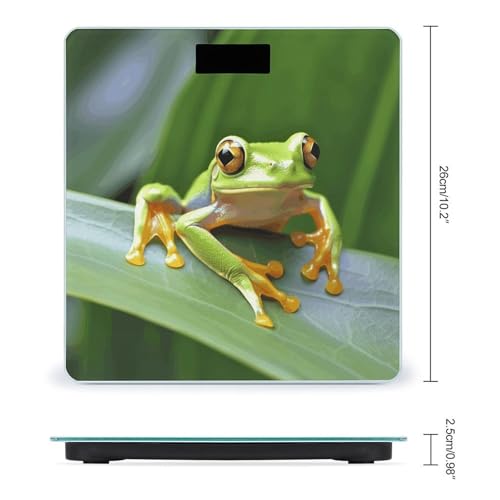 Báscula digital para bebés Tree Frog con vidrio templado miniatura 2