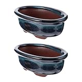 Idéal pour rebord de fenêtre, table de bureau, salle de bain et décoration de chambre. parfait pour mariage, anniversaire, nouvel an, etc.
