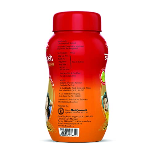 Image of Baidyanath Asli Ayurved Chyawanprash Special 500 g (Pack of 2) Builds Overall Health Improves Immunity And Strength| With Goodness Of 42+ Ayurvedic Herbs