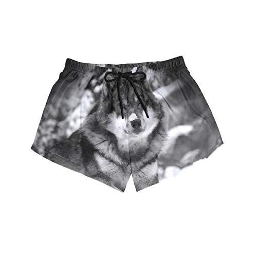 DEZIRO Wolf in The Snow Surf - Bañador para mujer 1 S