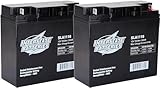 Interstate Batteries 12V 18Ah Battery (2-Count) (Nut & Bolt Terminal) SLA AGM VRLA Rechargeable Replacement for Solar Power, Generators, Medical Devices, Fences (SLA1116)