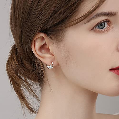 Squirrel Earring 925 Sterling Silver Animal Earrings For Women Hypoallergenic Cute Squirrel Hoop Earrings Squirrel Jewerly Gifts For Squirrel Lovers #TOP5