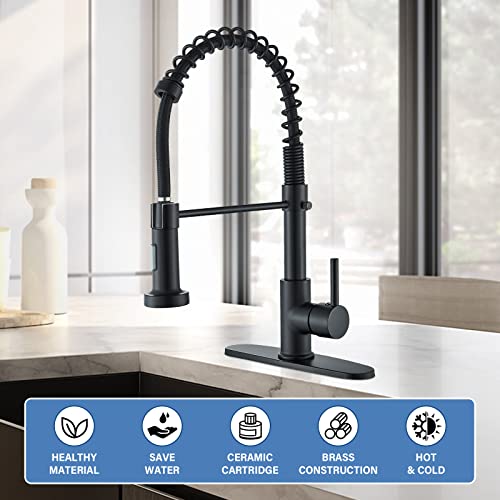 𝐃𝐚𝐧𝐏𝐢𝐚𝐧𝐠 𝐁𝐥𝐚𝐜𝐤 𝐊𝐢𝐭𝐜𝐡𝐞𝐧 𝐅𝐚𝐮𝐜𝐞𝐭 Kitchen Sink Faucets With Pull Down Sprayer And Deck Plate Single Handle Faucet For Kitchen Sink Commercial Rv High Arc Spring Sink Faucets #TOP3
