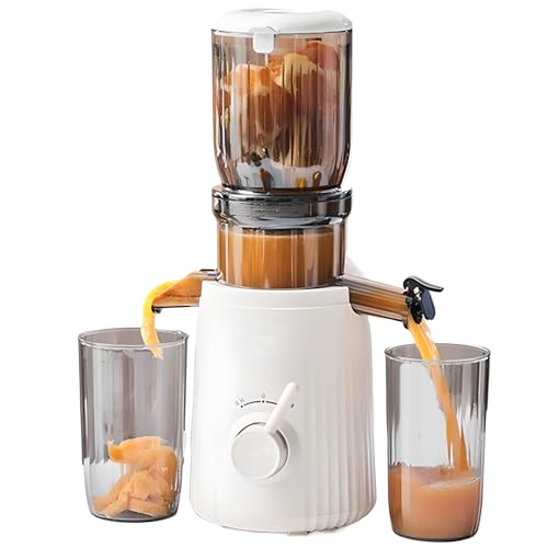 CYTBEK Máquinas expulsoras, Jugues de 250W Frutas y Verduras Enteras, máquina extractora de Mayor Rendimiento de Jugo, 0 Metal, Engranaje de Doble e inverso de Doble Equipo fácil de Limpiar