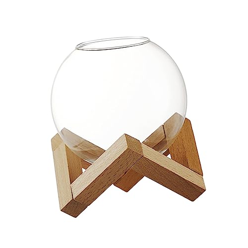 Gcljlmy Bicchiere da cocktail a forma di sfera con supporto, in vetro trasparente, per bevande, facile da pulire, per champagne (370 ml)