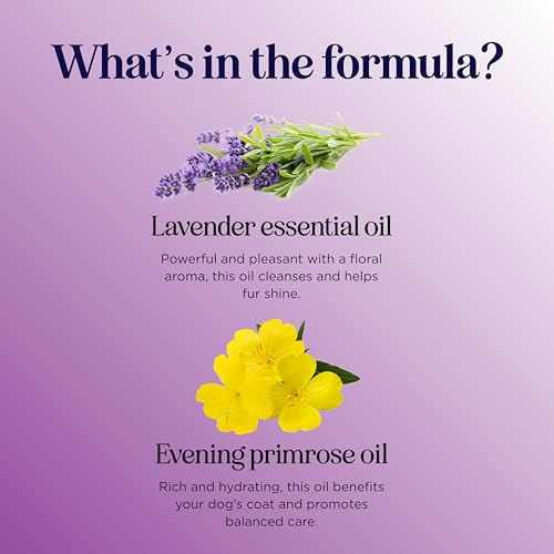 Lavender Oil Dog Deodorizing Spray - Dog Spray for Smelly Dogs and Puppies and Dog Calming Spray with Lavender Essential Oil - Lightly Scented Dog Deodorizer for Smelly Dogs and Dog Essentials