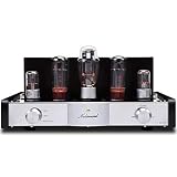  Amplificador de Tubo MS-50D Amplificador HI-FI 2.1 Canales Amplificador de Tubo de vacío Amplificador Bluetooth AMP y USB MS-10D 30D actualizado