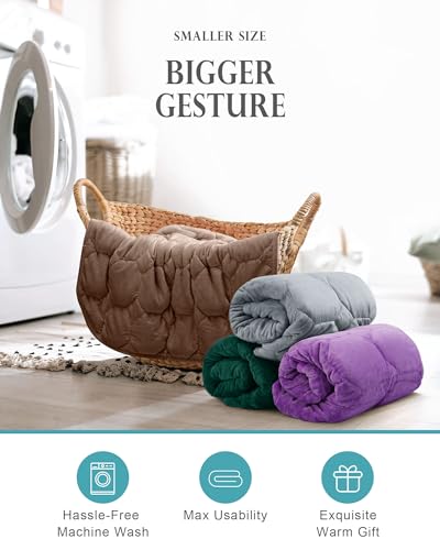 Image of Weighted Lap Blanket 7lbs, Cozy Luxury Crystal Velvet Weighted Blanket for Adults, Small Weighted Blanket for Relaxation, Sleeping, Travel, Brown, 29 inch x 24 inch