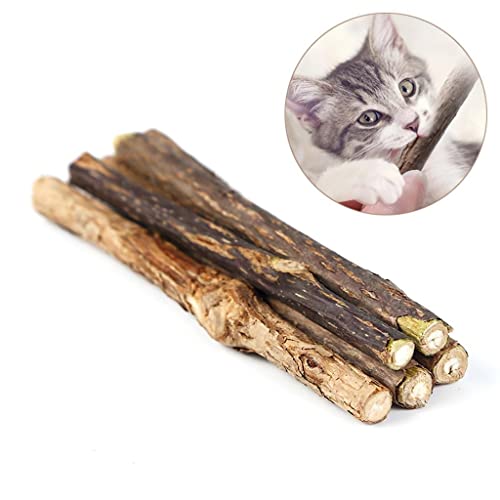 Limpieza de dientes para gatos con varitas de actinidia polygama interactivas 3