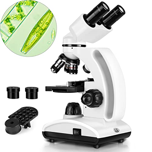 Binocular Microscopes, 40X-1000X Binocular Compound Microscope, Dualâ€‚LEDâ€‚Illumination Microscopes, Lab Binocular Microscope for Kids and Adults, with Phone Adapter