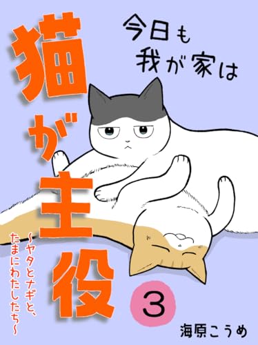 今日も我が家は猫が主役3