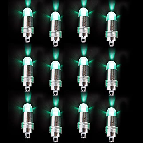 Acmee Non-Blinking LED Balloon Light LED Party Lights LED Paper Lantern Light LED Mini Light for Party or Wedding Decoration (Green Pack of 12)
