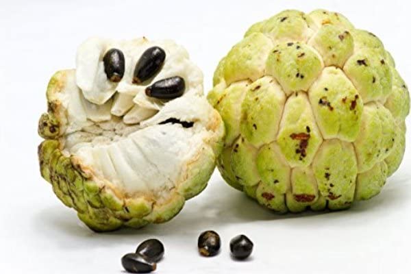 Custard apple/Sharifa/Sugar Apple 25 Seeds (B0B86N64KJ) Amazon Price History, Amazon Price Tracker