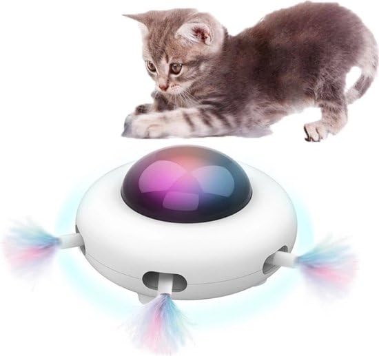 Plumes de chat et OVNI rotatif pour occuper votre animal de compagnie pendant vos absences