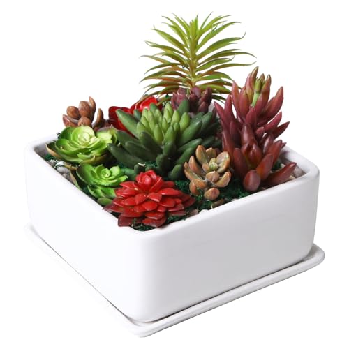 MyGift Modern White Ceramic Square Indoor Small...