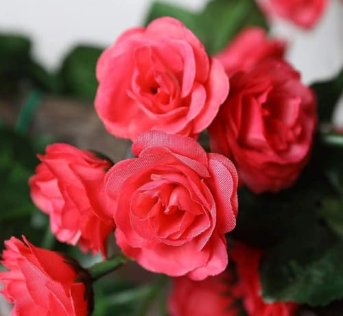 Image of VRB Dec 1 Pcs Artificial Flower Vine Garlands Hanging Artificial Flowers for Decoration Small Peony Roses Garland (6 ft Long) Flowers Silk Peony Roses for Diwali /Ganpati /Christmas. (Red)