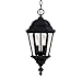 Savoy House 5-1303-BK Two Light Hanging Lantern
