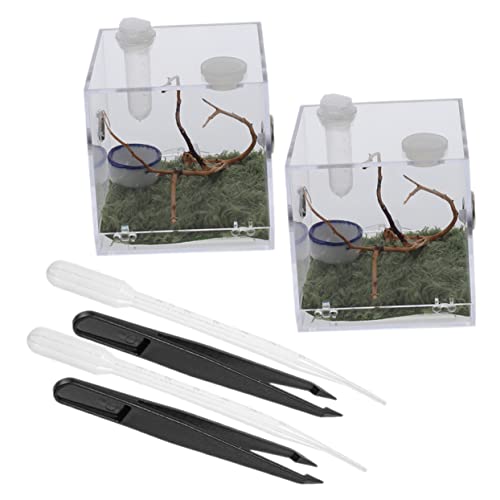 BESPORTBLE トリグモ飼育ケース アクリル製飼育箱 通気孔付き 透明素材 蟲類観察 2セット