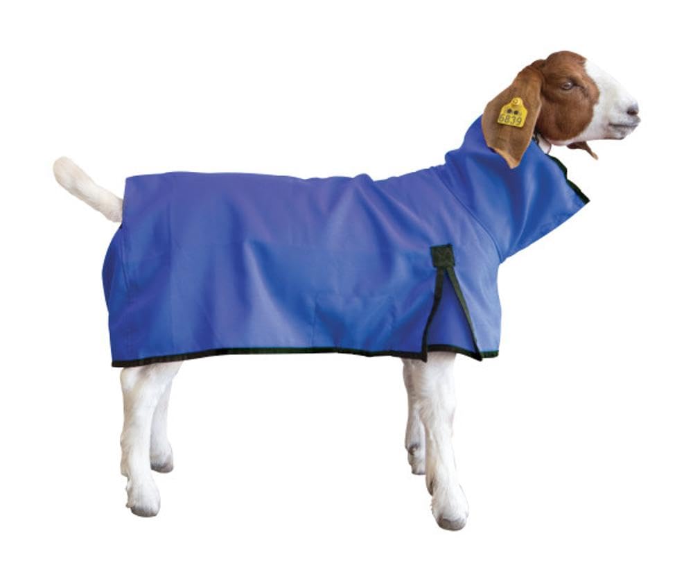 Weaver Leather Livestock Goat Blanket, Medium, Blue