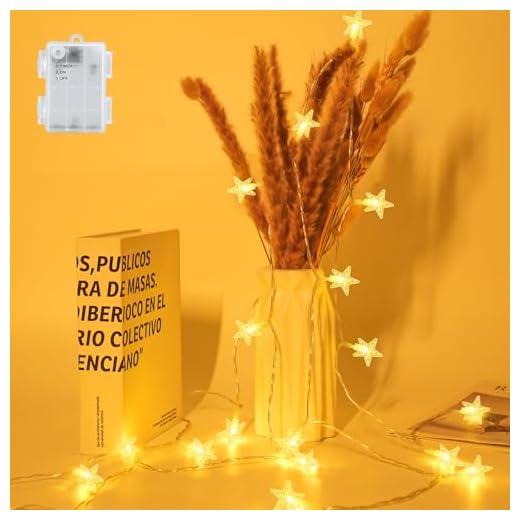 FFZZKJ Star Fairy Lights Battery Operated with Timer Fairy Lights for Bedroom IP65 Waterproof Indoor Outdoor for Christmas Decorations, 3M/10Ft 20LED, Warm White