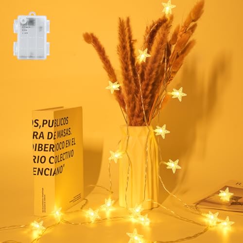 FFZZKJ Lichterkette Weihnachten Batterie Timer Sterne Außen Innen...
