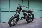 Electric Bikes