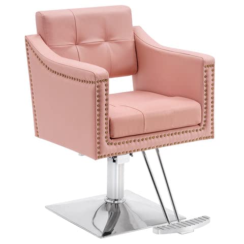 Barberpub Salon Chair For Hair Stylist Hydraulic Barber Styling Chair, Beauty Spa Equipment 8813 (6" Seat Height Adjustment) (Pink) #TOP2