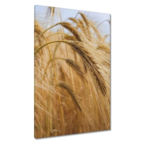 Toile imprimée grand format 80 x 120 cm pour créer une ambiance nature dans la cuisine