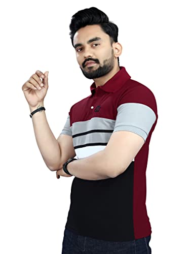 Image of Men's Regular Fit Striped Polo T-Shirts