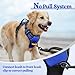 rabbitgoo Dog Harness No Pull with 2 Leash Clips, Adjustable Soft Padded, Reflective Oxford No Choke Pet Vest with Easy Control Handle for Large Dogs, Dazzling Blue, L