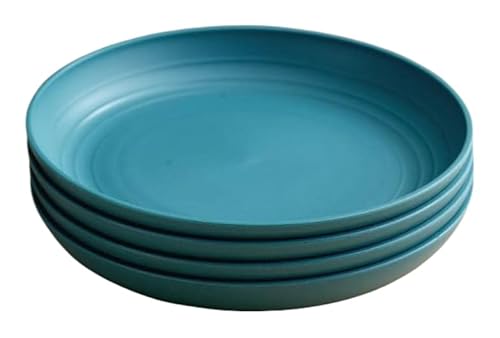 [Heartserice] ������� �v���X�`�b�N�v���[�g 4�Z�b�g �k���� �d�q�����W�Ή� �f�U�[�g�E�����`�E�P�[�L�M (20cm,�u���[)