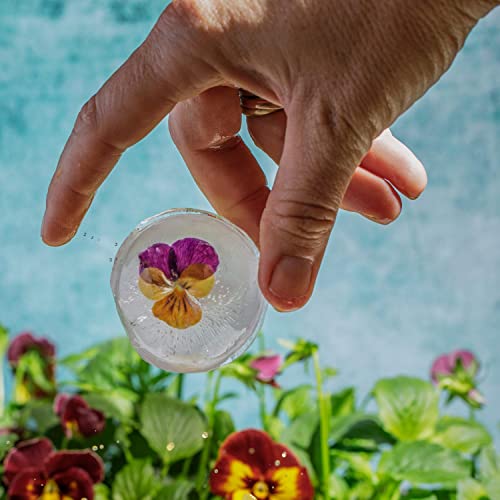 Drinksplinks Letter S Ice Tray + Sphere Ball Silicone Ice Cube Tray - Ice Cube Mold Trays Shaped Like The Initial Letter S For Scotch Cocktail Bourbon Spirits Juice Drinks - Novelty Bar Accessories #TOP6