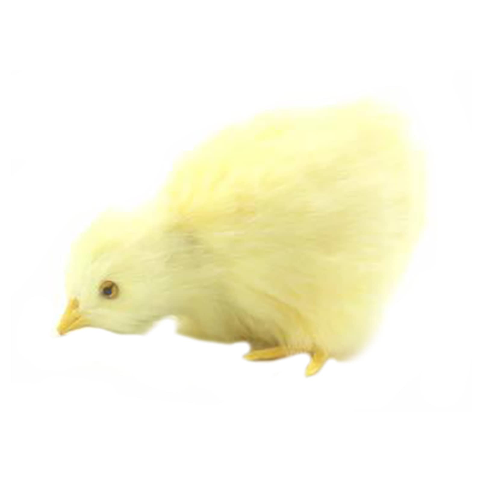 ひよこ Amazon.co.jp: シミュレーションひよこぬいぐるみ、ツイスト