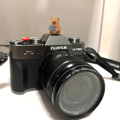 Image of Camera Hot Shoe Cover, Cute Hot Shoe Cap, Hot Shoe Protector Compatible with Sony Fujifilm Fuji Canon Nikon Pentax Leical Panasonic (2pcs Capybara)