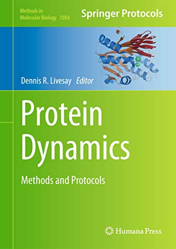 Protein Dynamics view 2