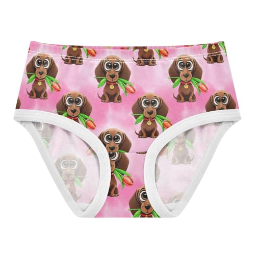 Toddler Girls Underwear 2t Cotton Little Girl Panties Stylish Kids Undies Briefs Cute Dachshunds Pink Animal