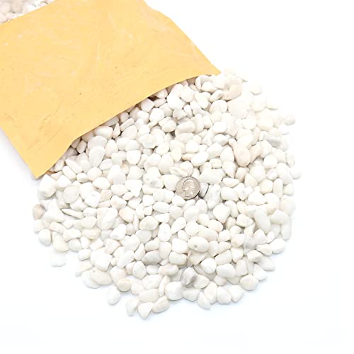 White Rocks For Plants. White Decorative Polished Pebbles. 3/8 Inch – 2Lbs For Plants,Garden, Landscaping, Vase Fillers, Succulents, Pots, Plants (Xsm (0.375 Inch), White - Lightly Polished, 2) #TOP6