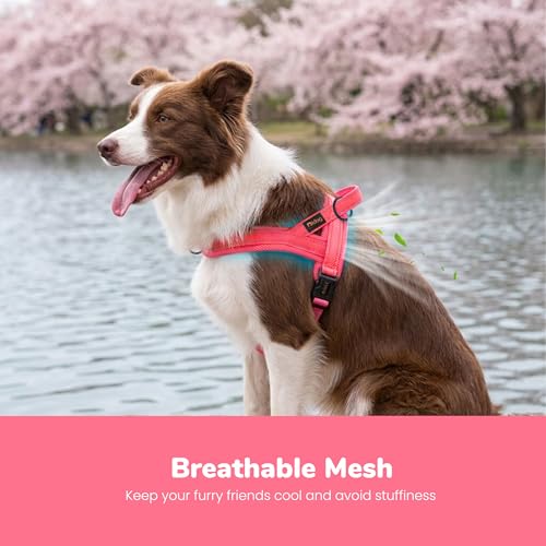 Image of Didog No Pull Dog Harness for Medium Dogs, Breathable Mesh Padded, Pink, M | Quick Fit, Easy On and Off, Lightweight, Reflective Vest Harness for Night Safty, Easy for Walking and Training, Chest 21-26 inch