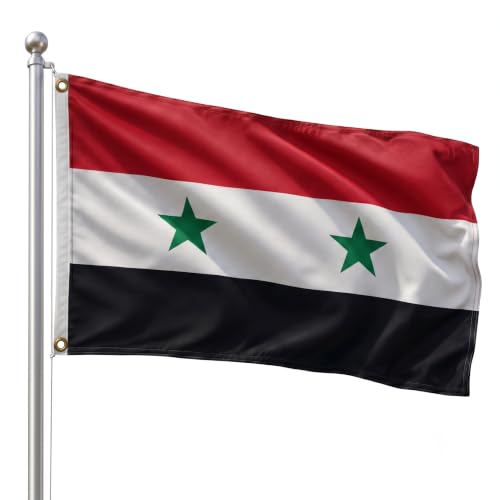 DMSE Syria National Flag 3ft x 5ft - Fade-Resistant Outdoor & Indoor Flag - Quad-Stitched Fly End & Heavy-Duty Brass Grommets (3ft x 5ft)