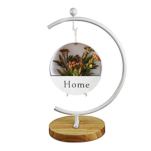 Archi G-Shaped Ornament Display Stand Iron Pothook Stand For Hanging Glass Terrarium/Picture With Wood Base(G Shape-White) #TOP5