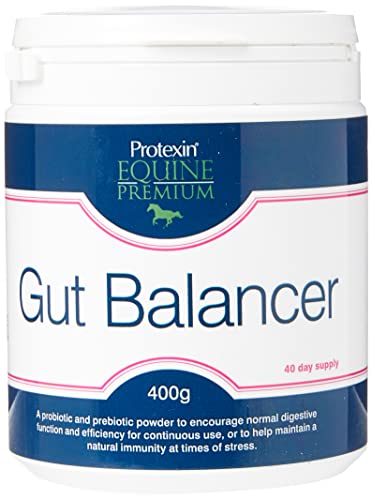 Protexin Equine Premium Gut Balancer (Size: 400g) Cover