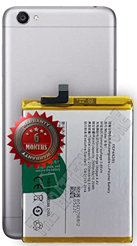 Image of THE BATTERY STORE Orignal B-B1 Battery compatible for Vi-vo Y55 Y55A Y55L Y55S ( Battery with 6 month warranty and high capacity battery backup. Carefully check your phone model and purchase.(FOR B-B1)