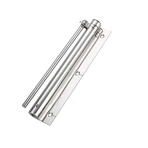 DFSGEP ShAN[U[A߉\ȃhAhAƒphAXvO(Big Green Bronze)