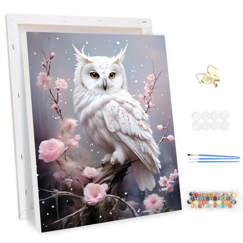 MEIYUDA Pintar por Numeros Adultos con Marco Búho, DIY Cuadro al óleo con Números para Animales, Kit de Pintura al óleo Digital para Adultos de Lienzo, Decoración para el Hogar 30x40cm