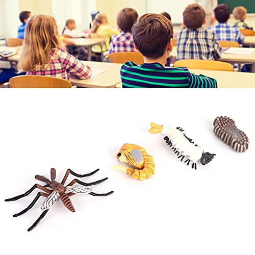 Modello del ciclo di vita, modello del ciclo di