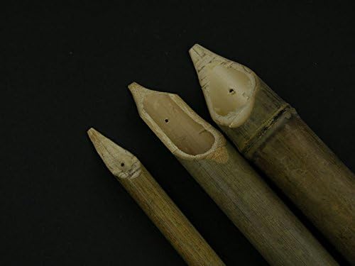 Set of 3 Calame Bamboo Reed Pens
