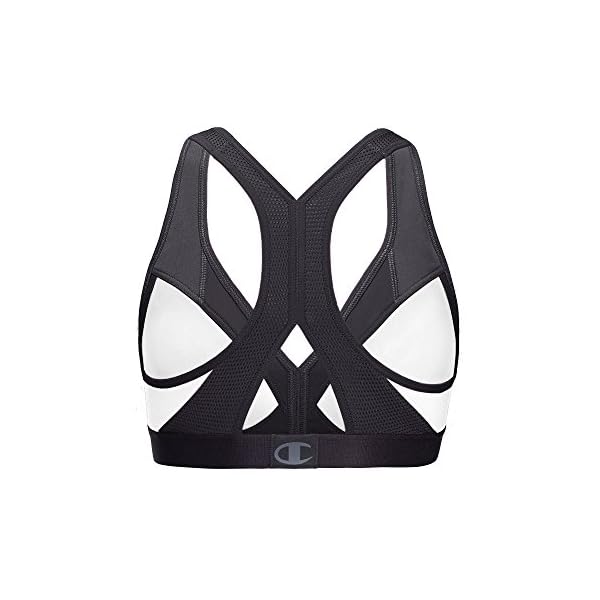 Champion-Womens-Curvy-Sports-Bra Champion womens The Curvy Sports Bra, White/Black, Large US