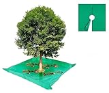 Bamboo's Grocery LoKii