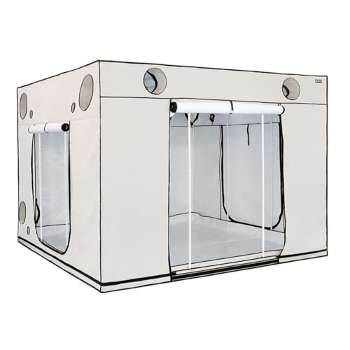 Weedness HOMEbox Ambient Q300+ Growbox 300x300x220 cm - Zuchtzelt Growschrank Growzelt Zuchtbox Gewächszelt Homebox Lichtdicht Anbau Grow Indoor