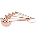 Measuring Spoons Set of 6 Pieces, Stainless Steel Measuring Spoon with D-RING Holder Measuring Dry and Liquid Ingredients (Rose gold)